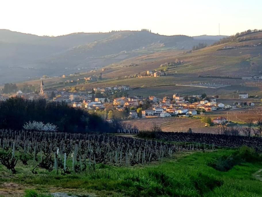 Au Coeur Des Vignes Moulin A Vent La Chapelle-de-Guinchay Exterior foto